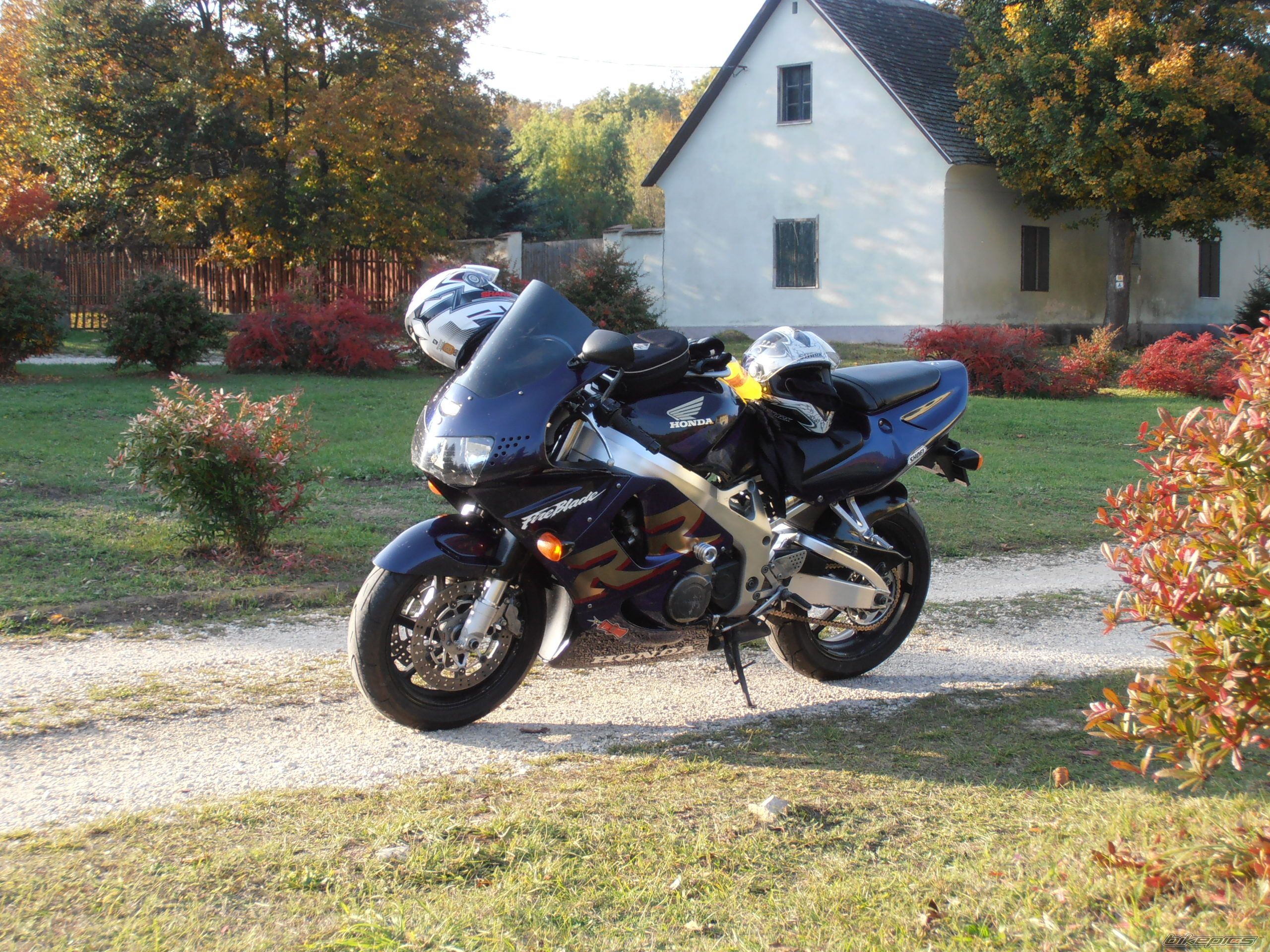 Photo 2633913