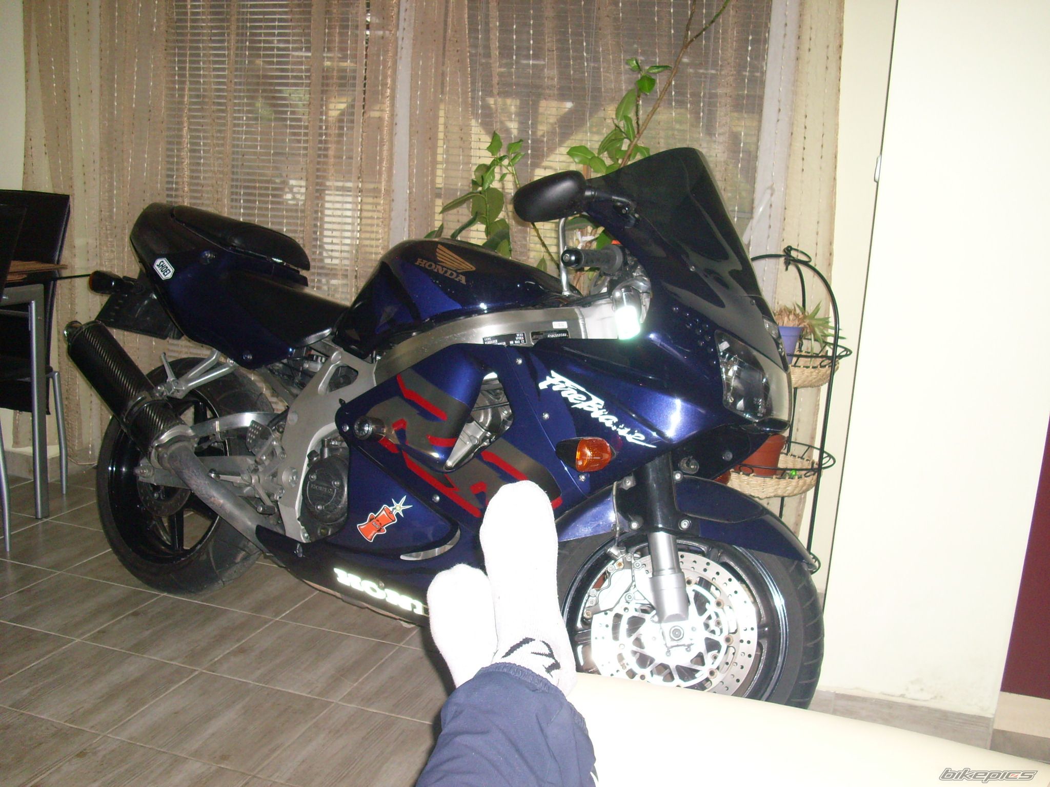 Photo 2633919