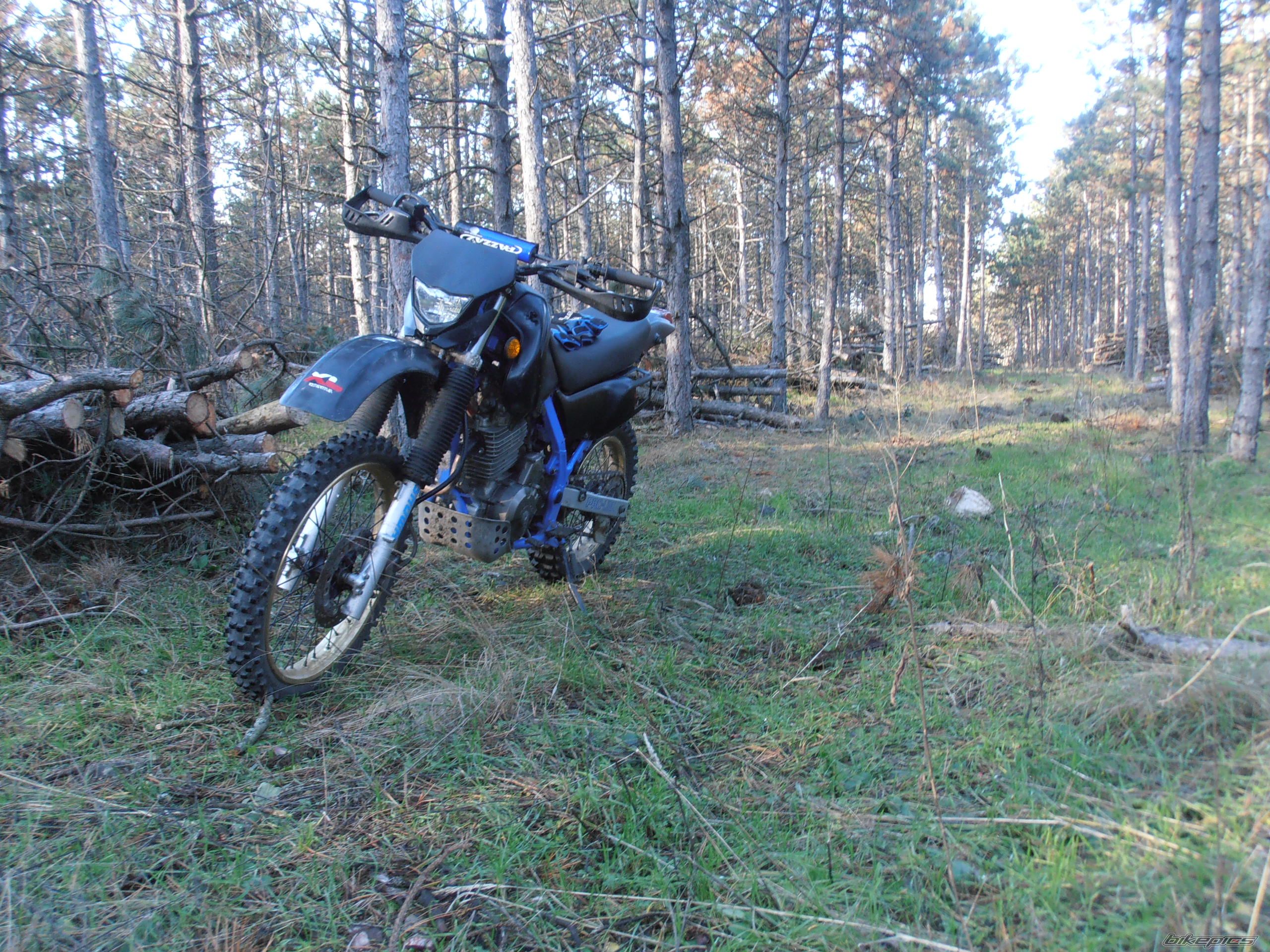 Photo 2634048