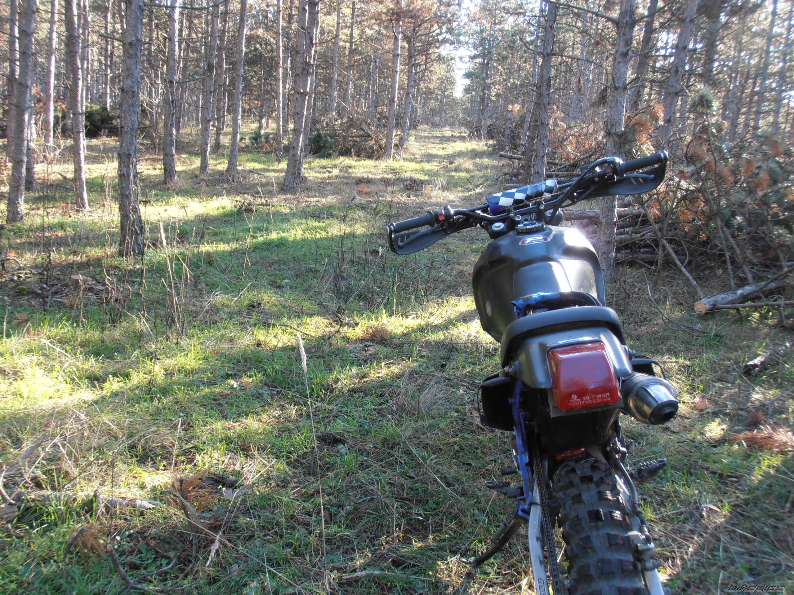 Photo 2634049