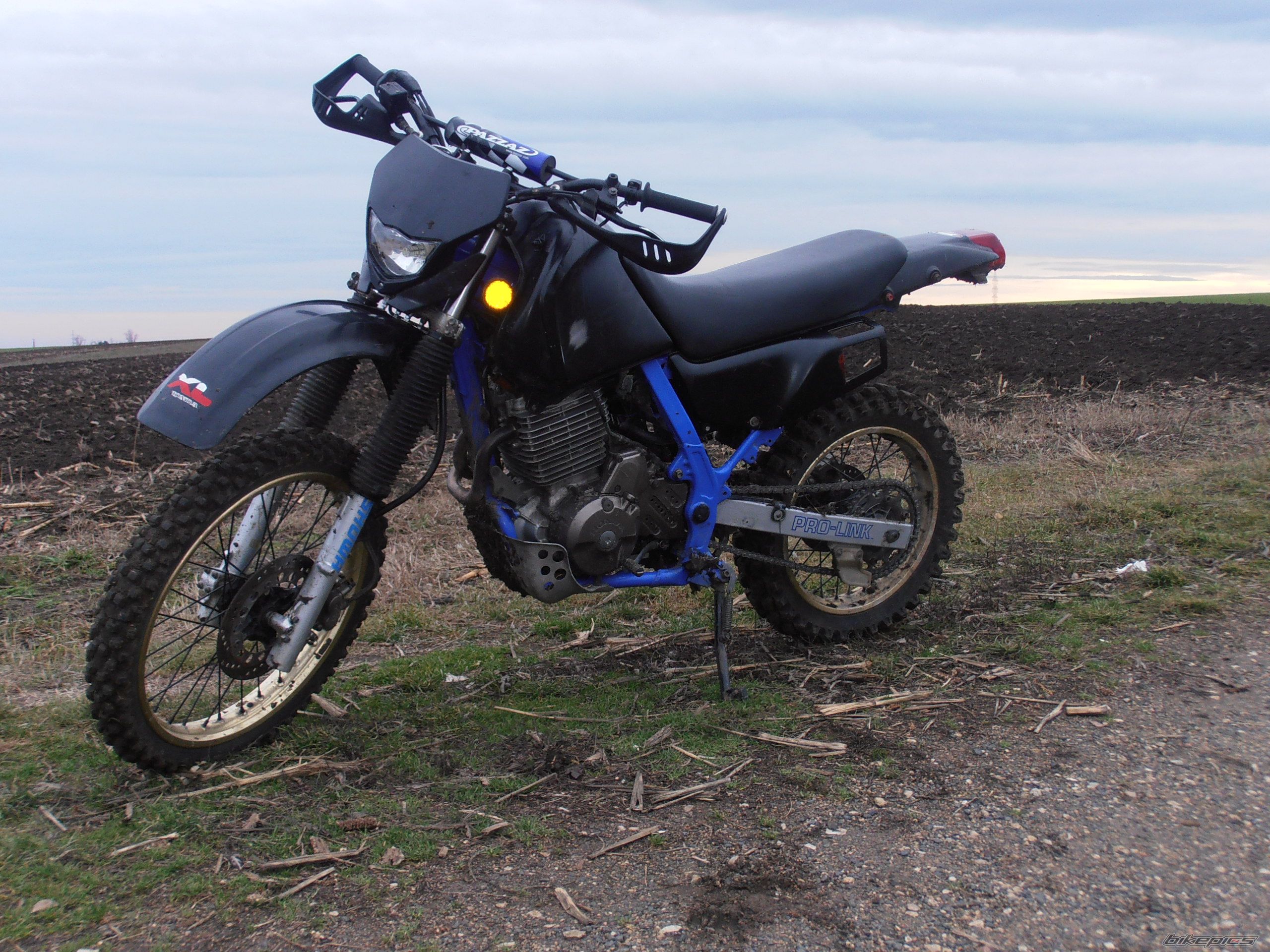 Photo 2634051