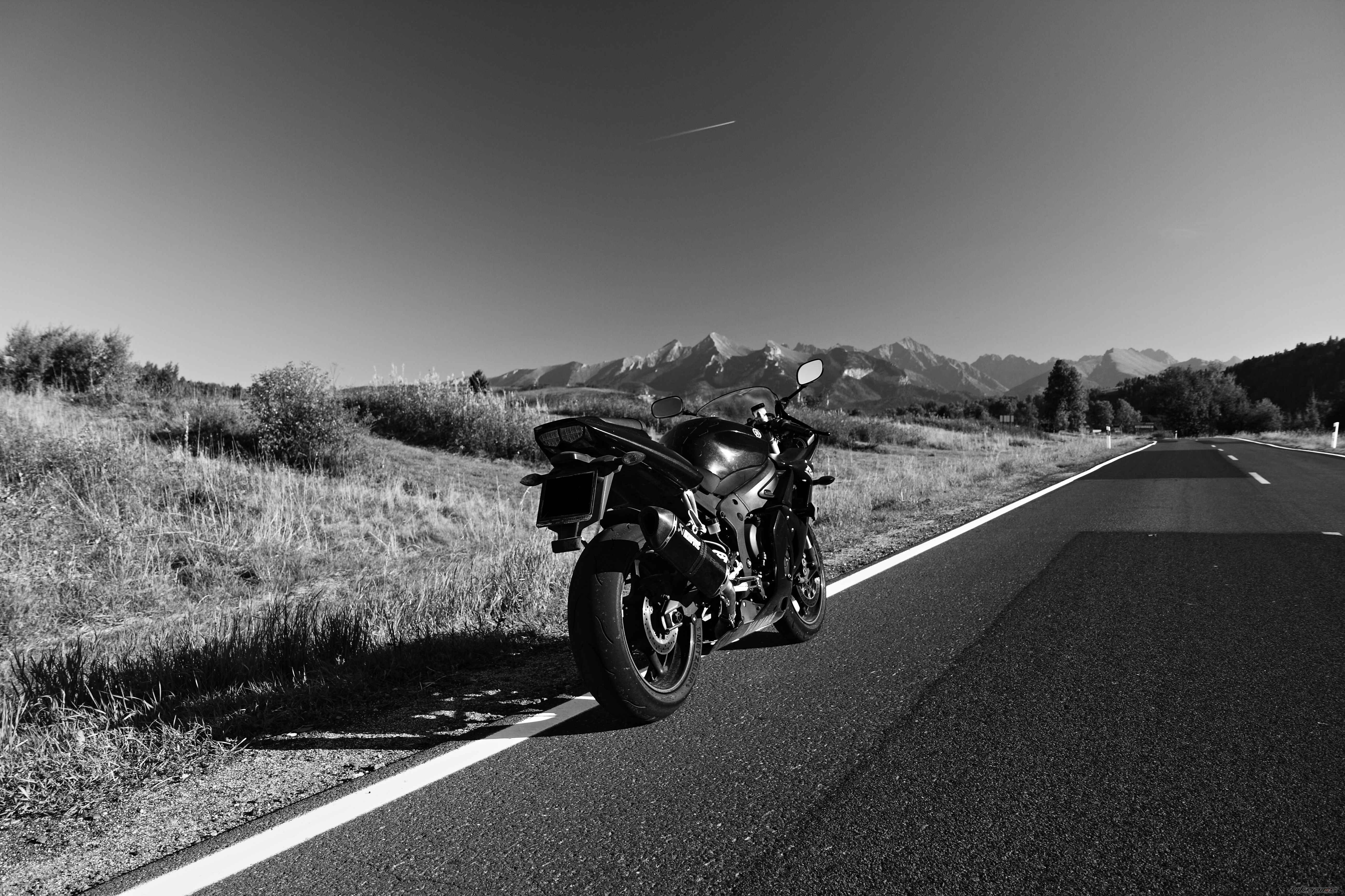 Photo 2634095