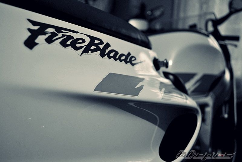 Photo 2634259