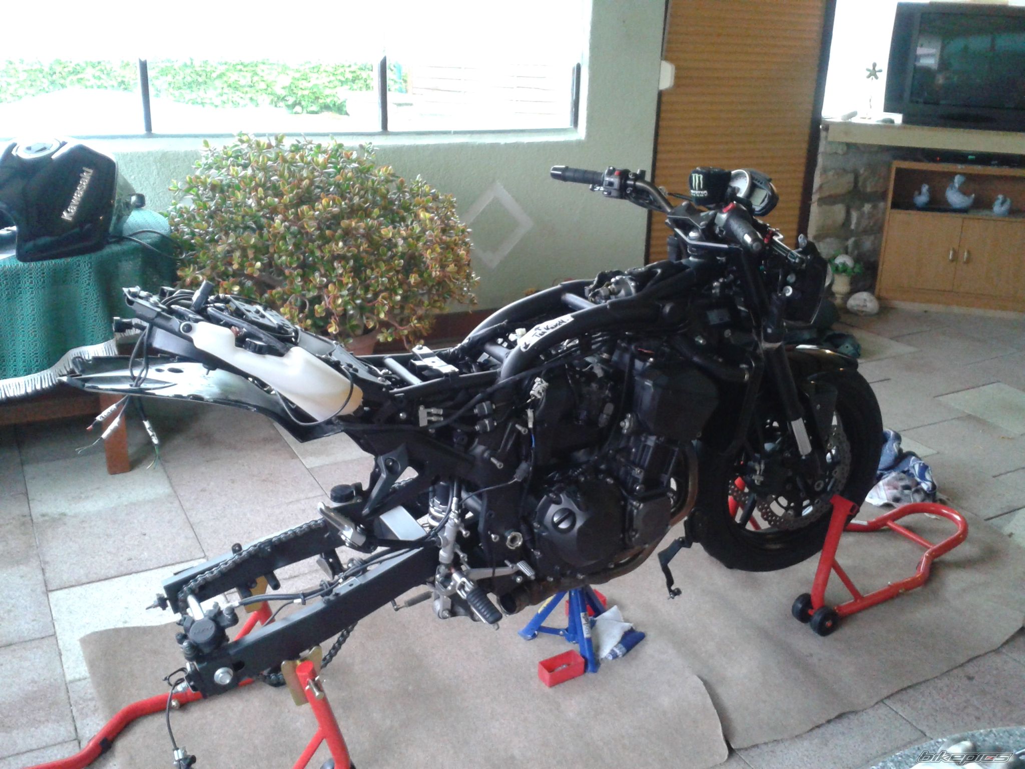 Photo 2634343