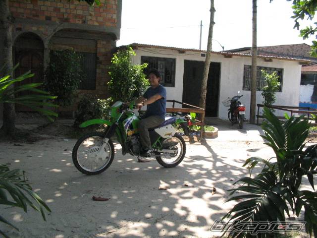 Photo 263437