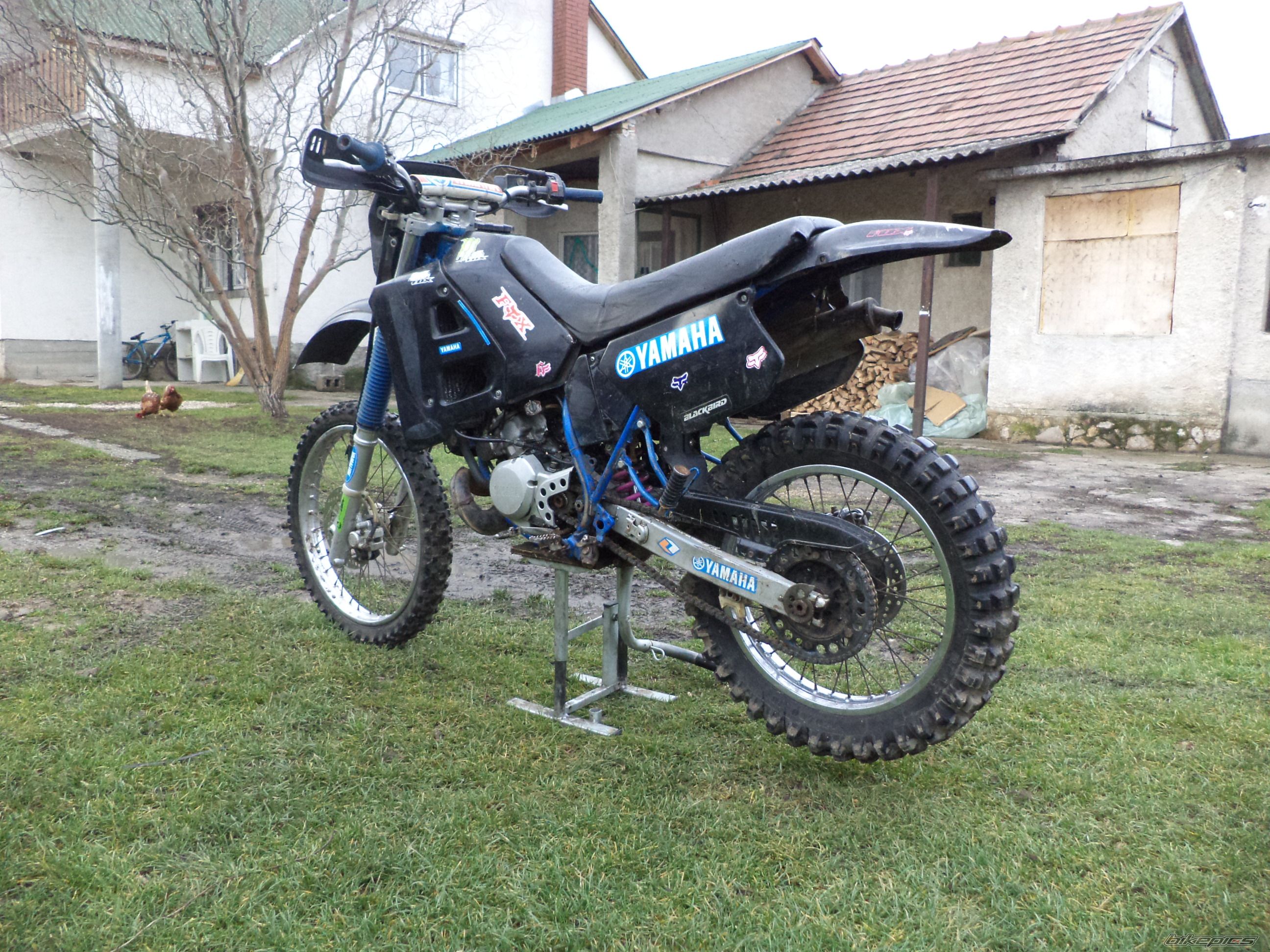 Photo 2634376