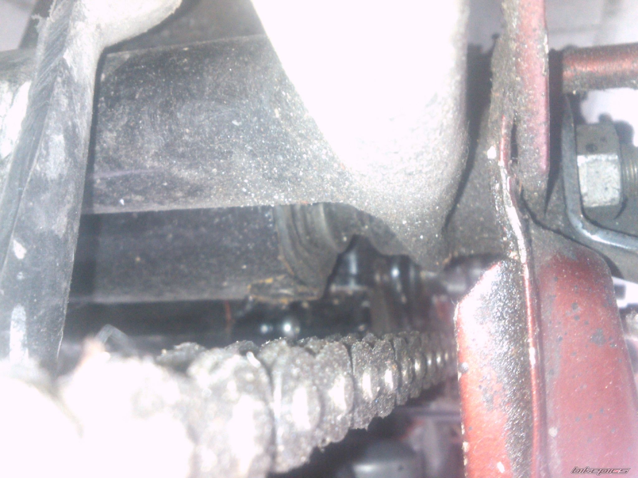 Photo 2634389
