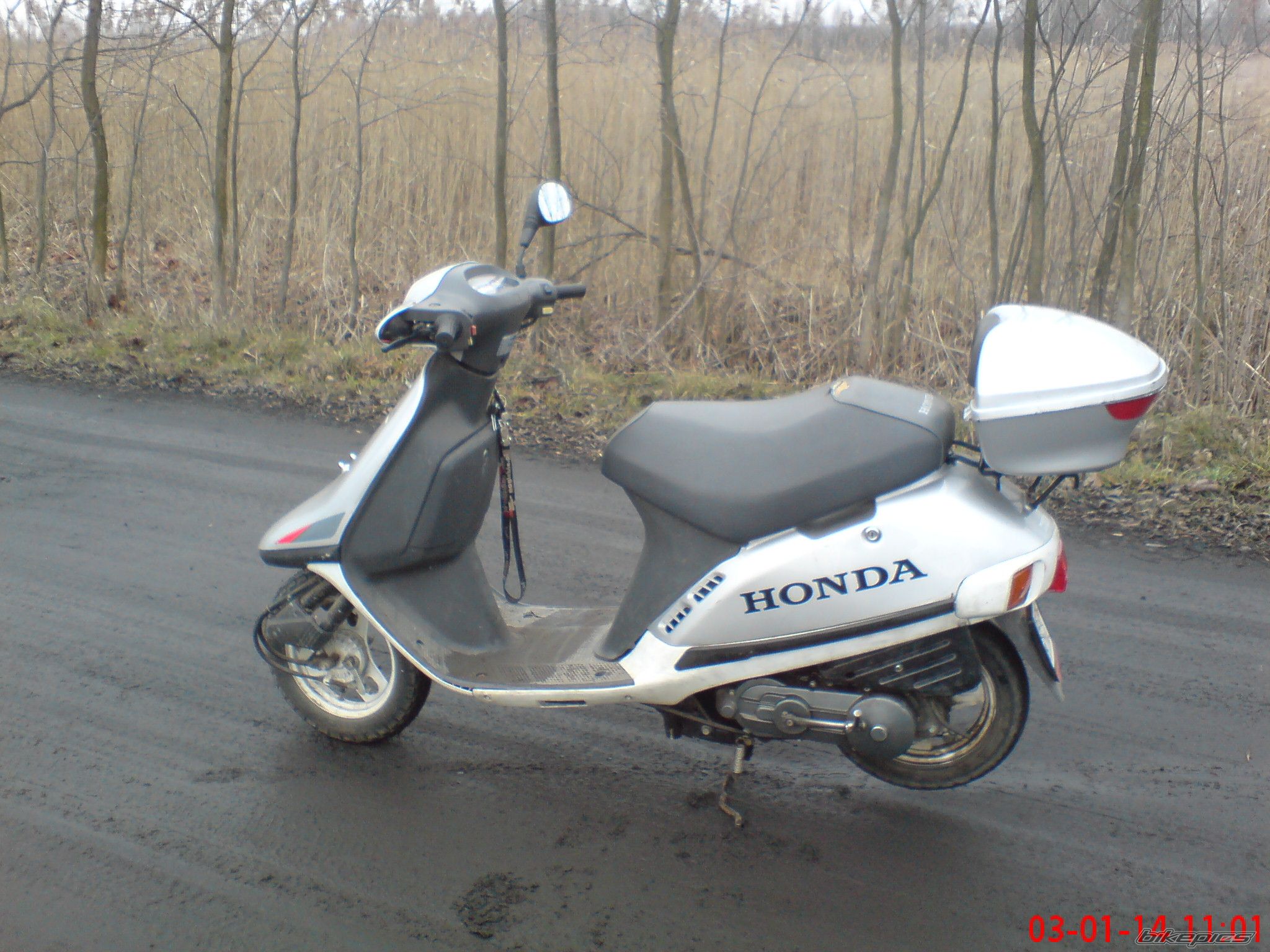 Vision 50