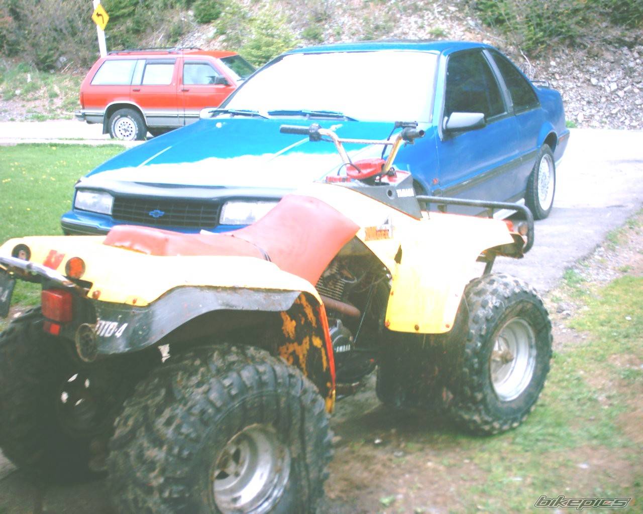 Photo 263444