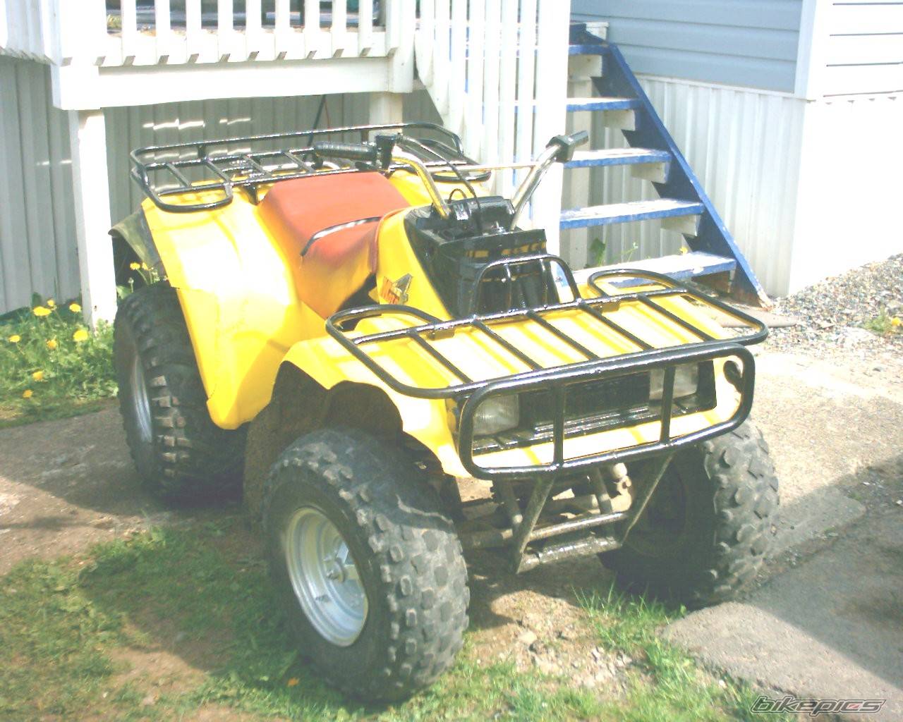 Photo 263445