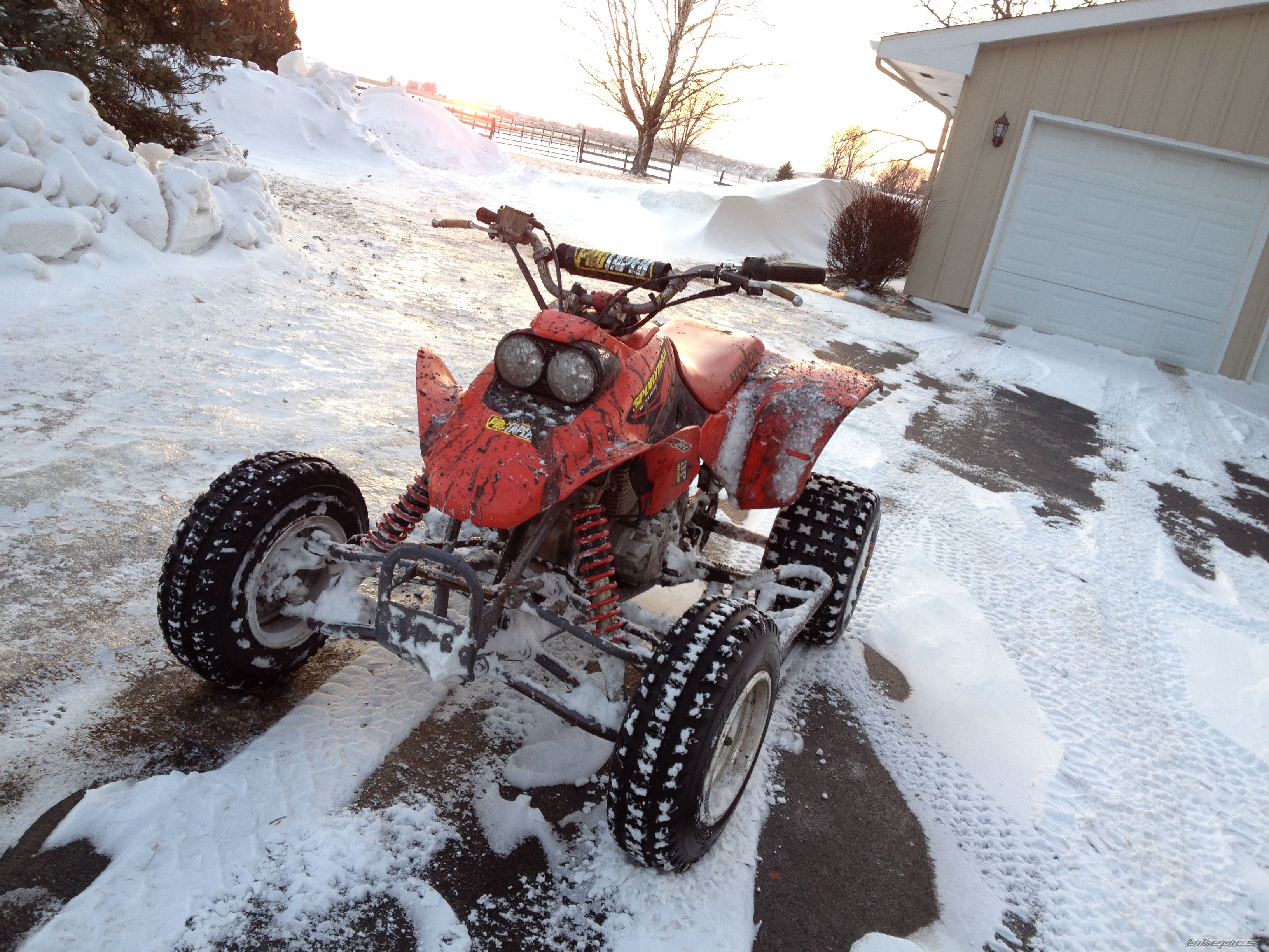 Photo 2634462