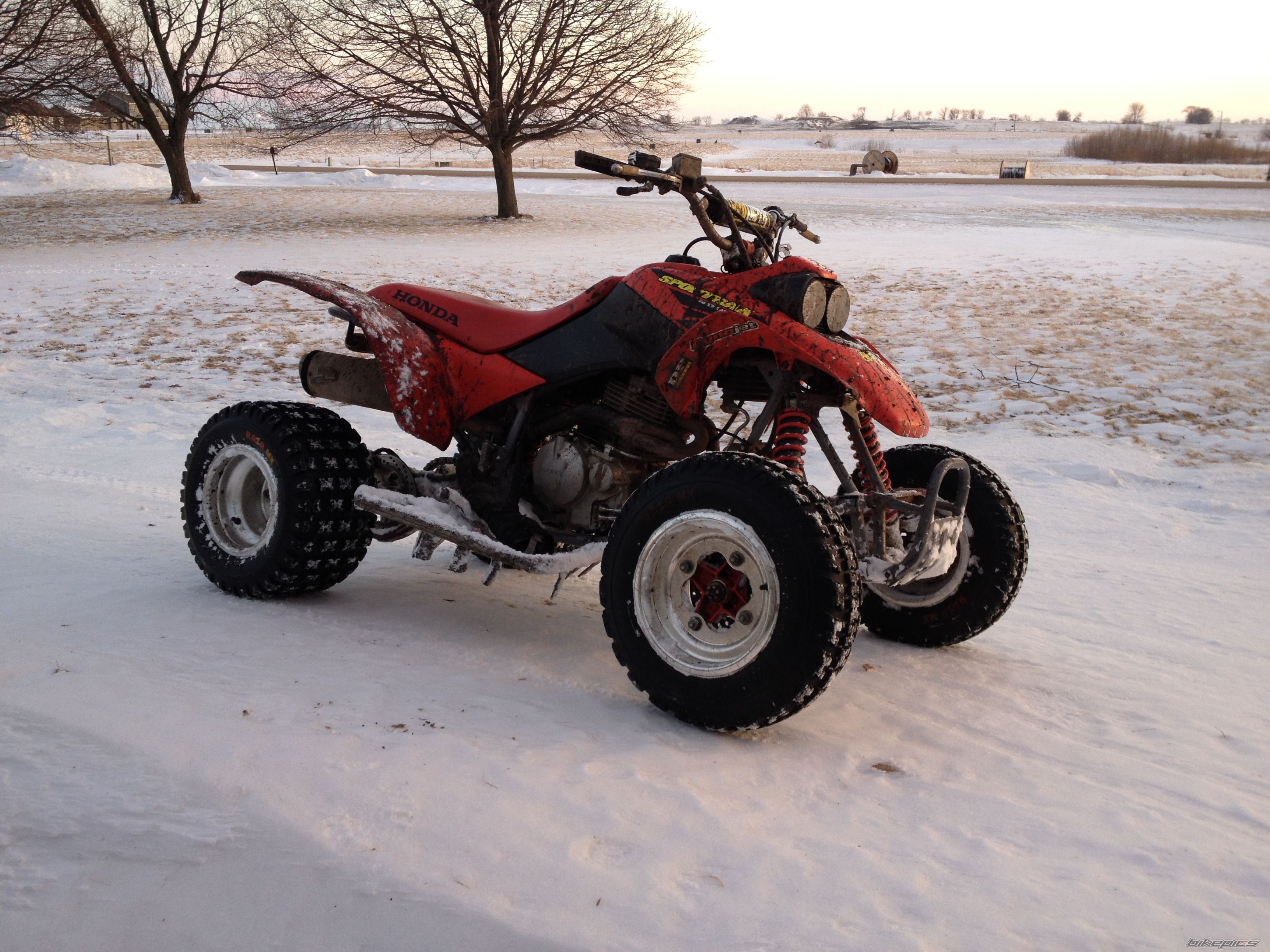 Photo 2634463