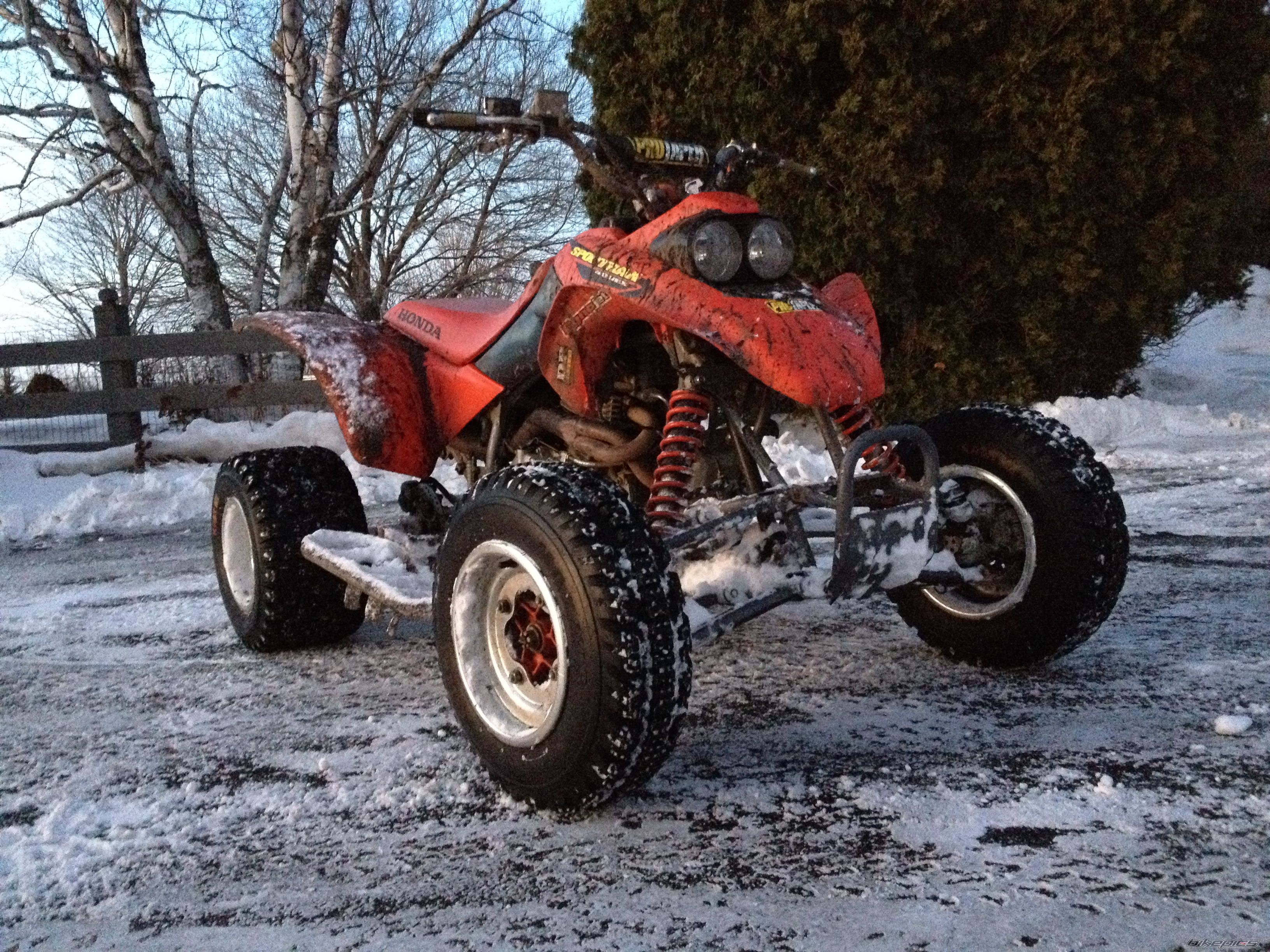 Photo 2634467