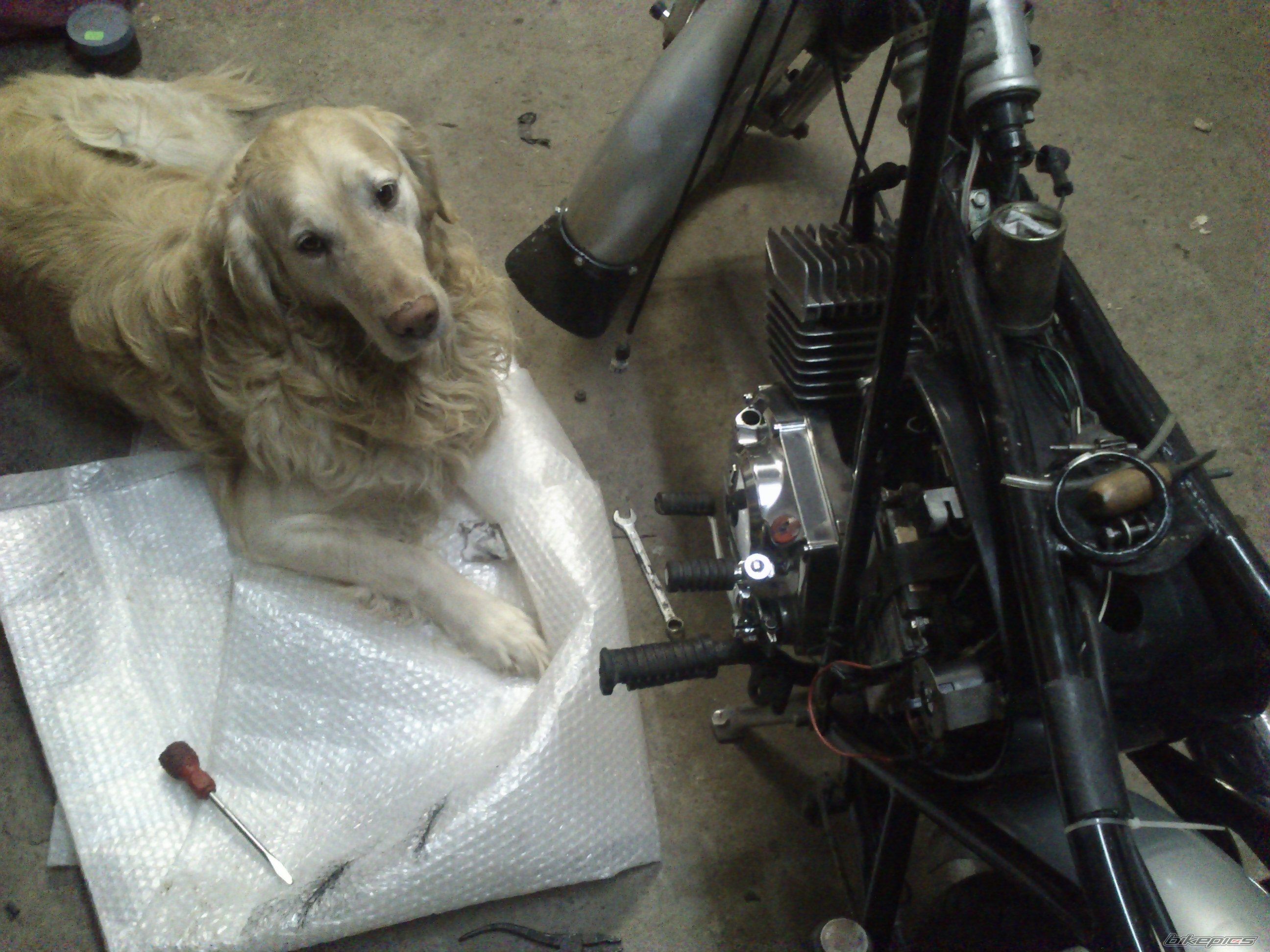 Bike Photo 2634508