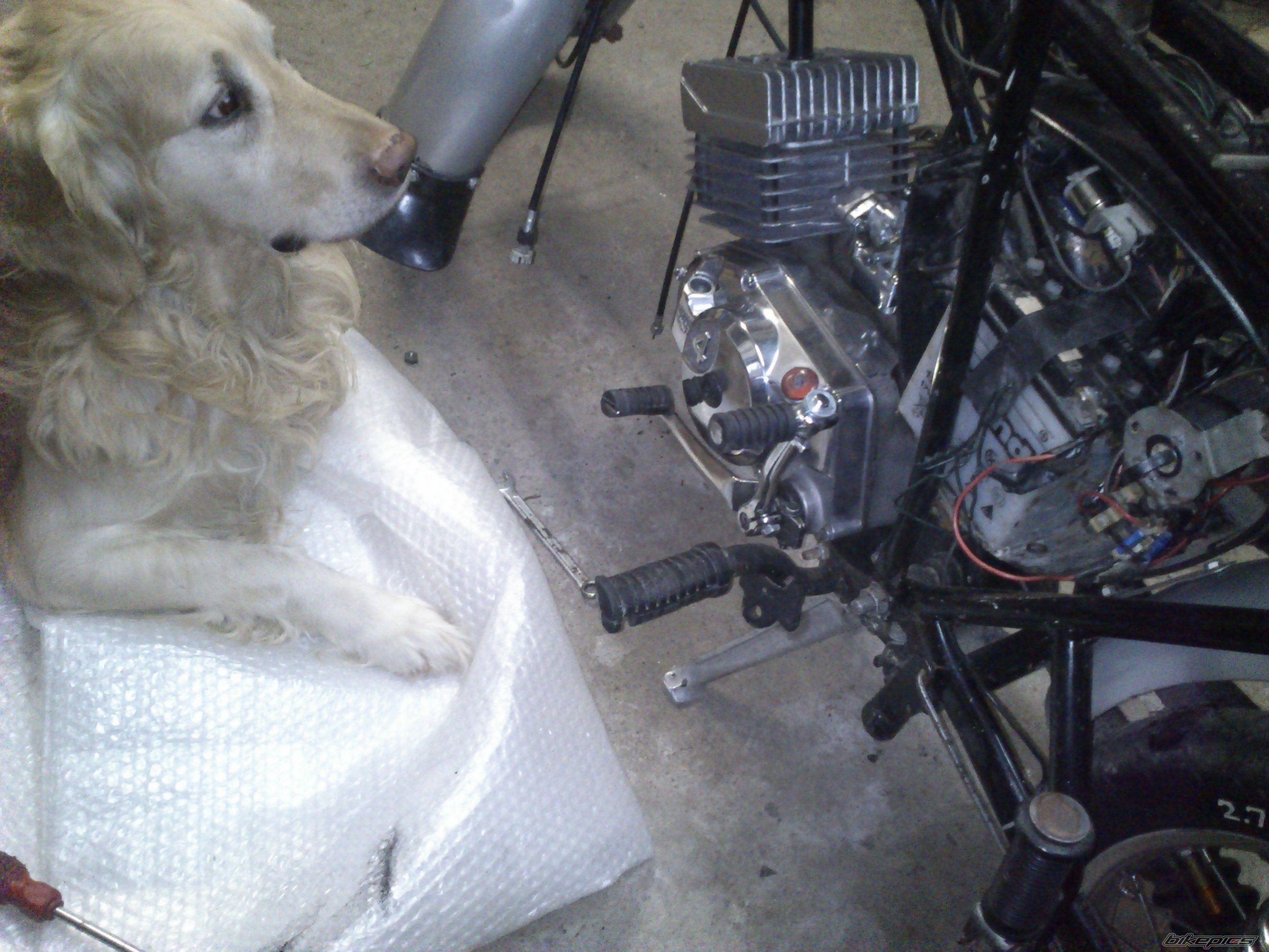 Bike Photo 2634509