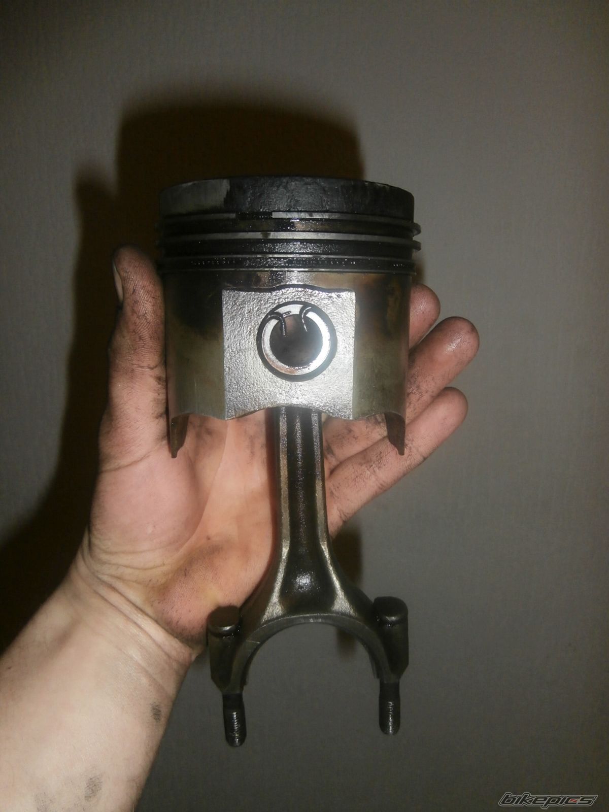 Photo 2634534