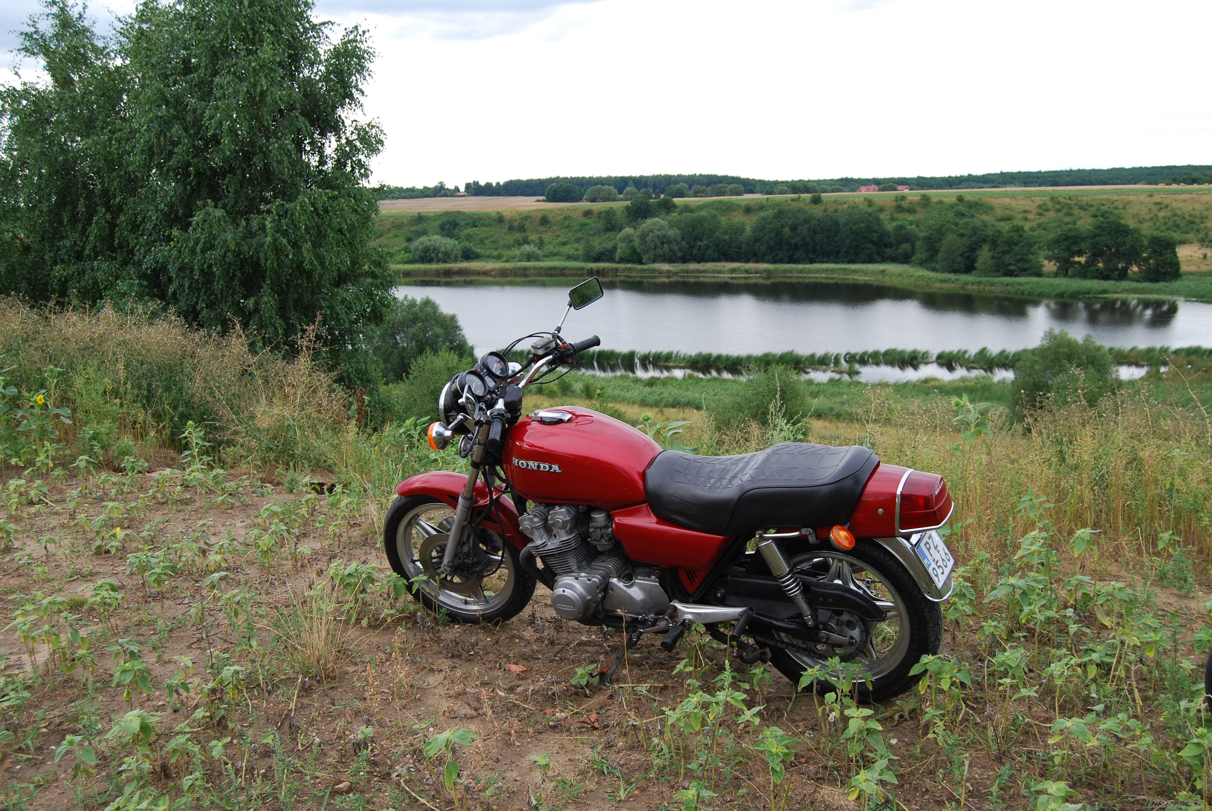 Photo 2634646