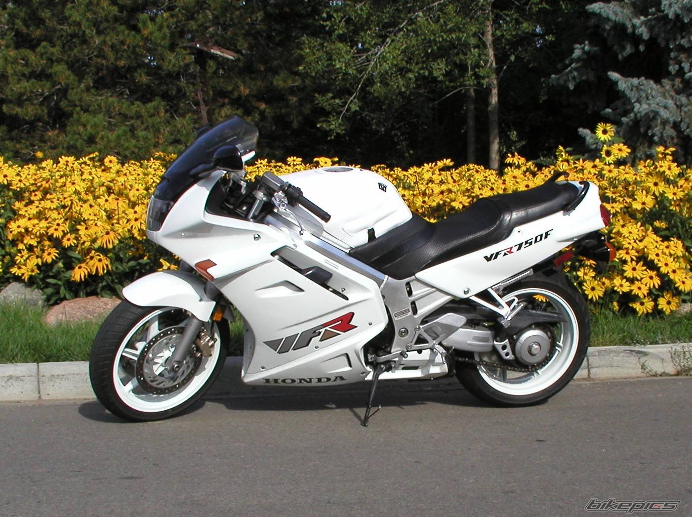 Bike Photo 263490