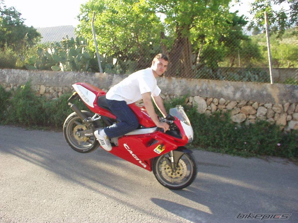Photo 26350