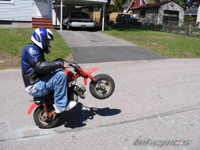 Bike Photo 26351