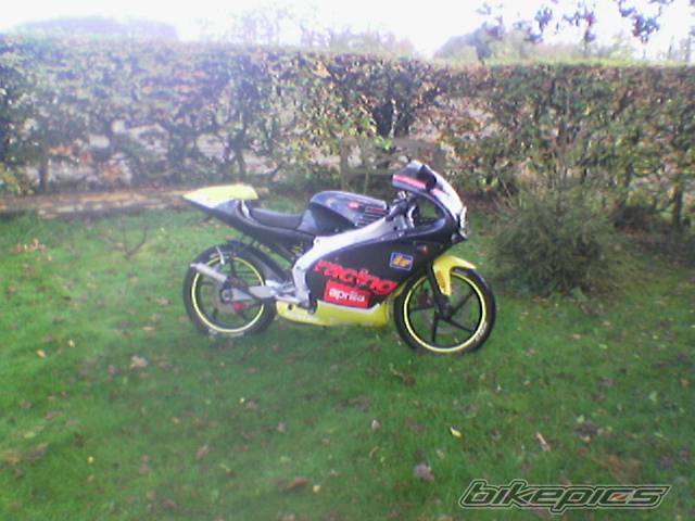 Photo 263523