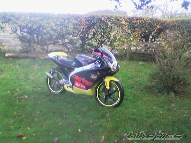 Photo 263524