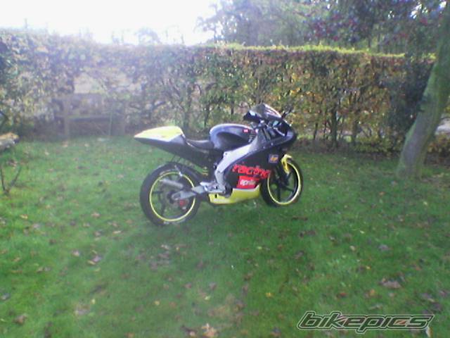 Photo 263526