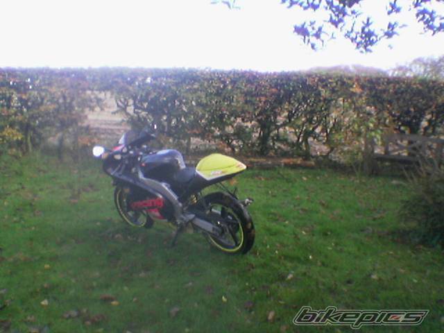 Photo 263528
