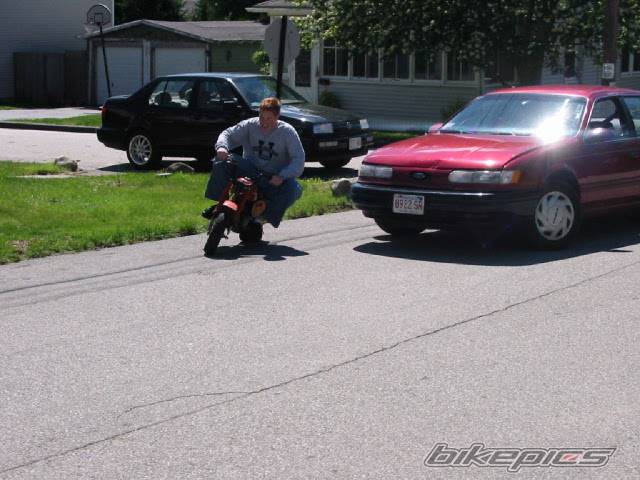 Photo 26353