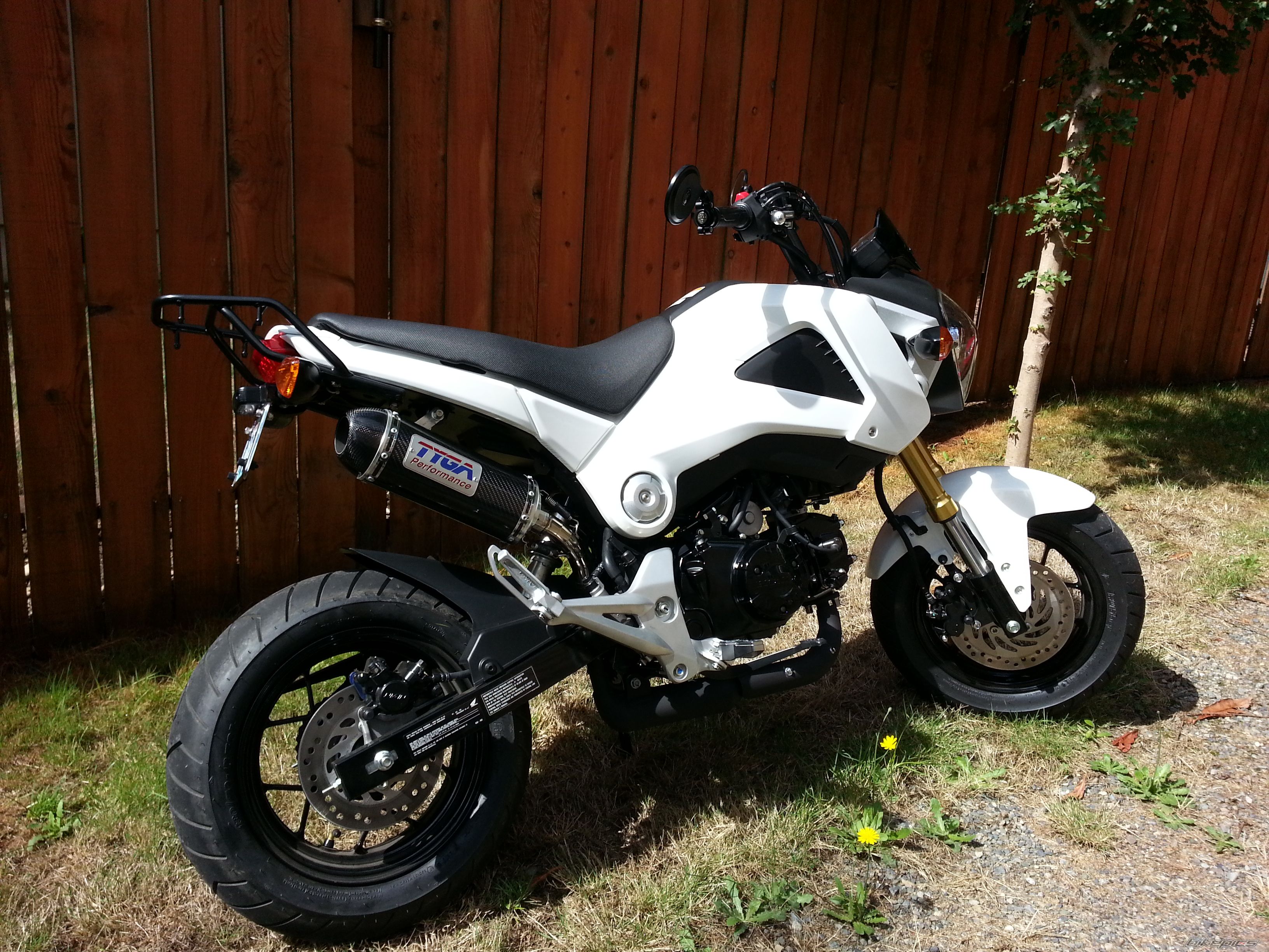 Photo 2635312