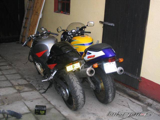 Photo 263532