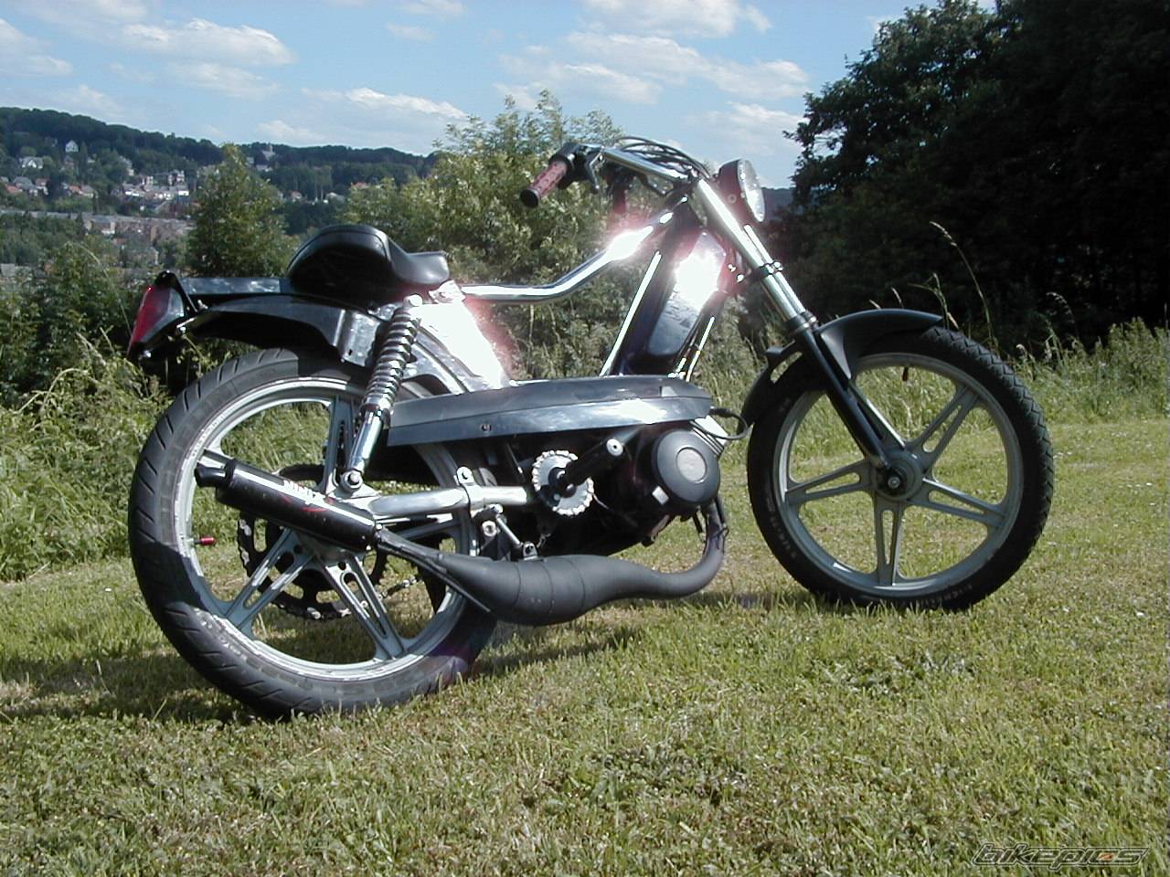 Photo 263536