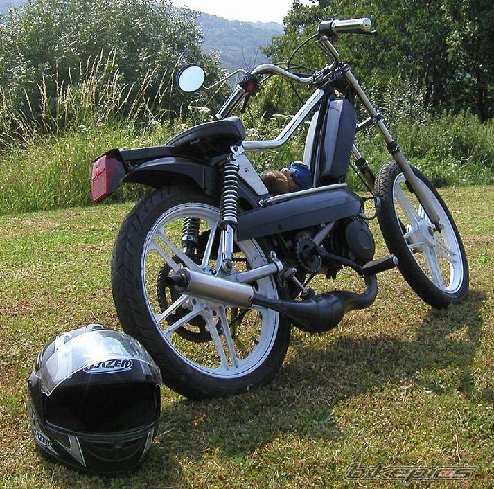 Photo 263538