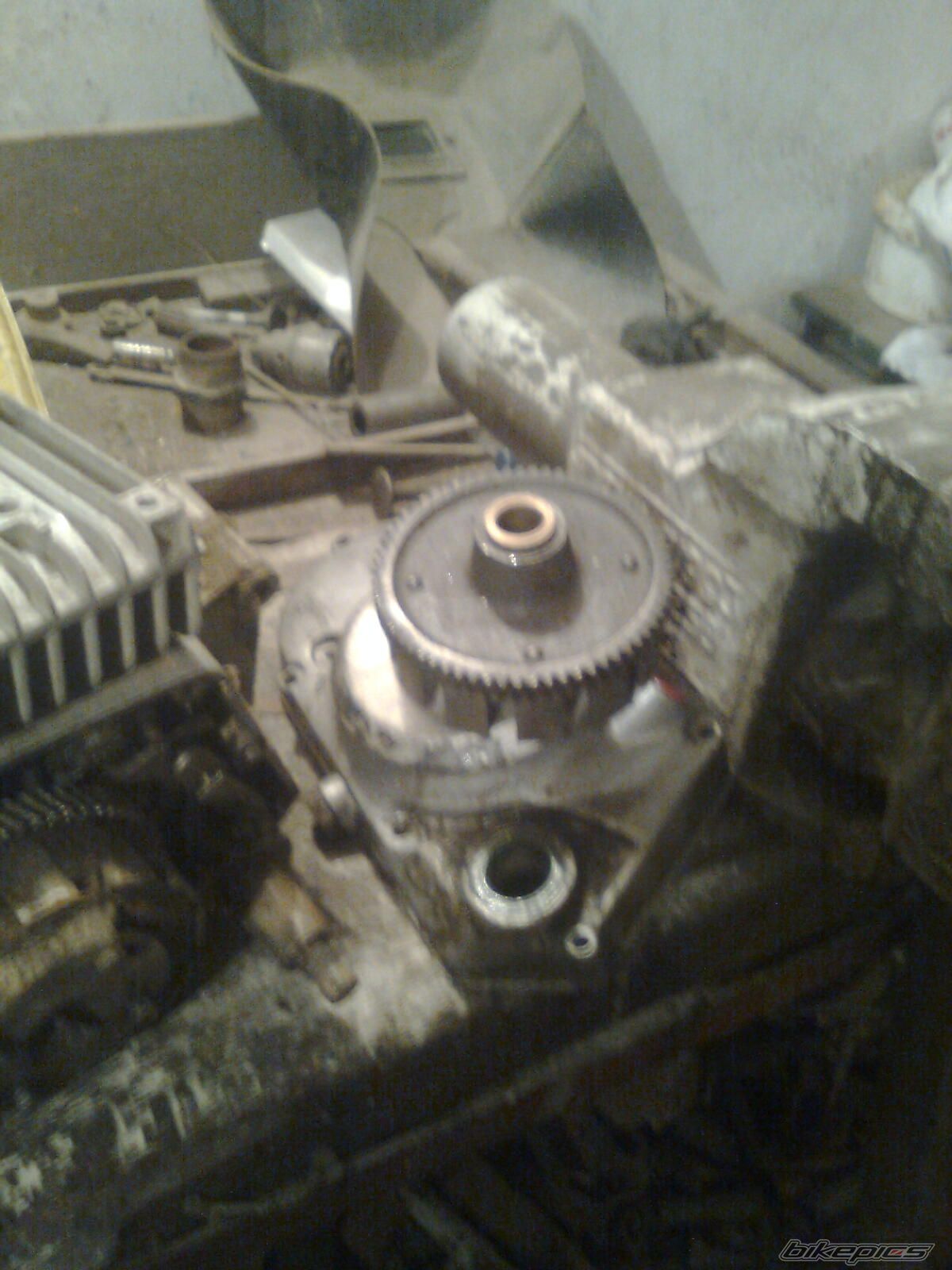 Photo 2635405