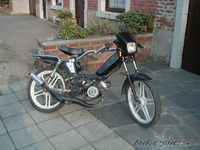 Photo 263542