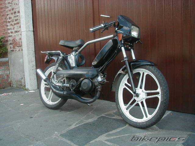 Photo 263544