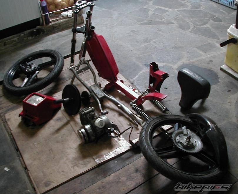 Photo 263548