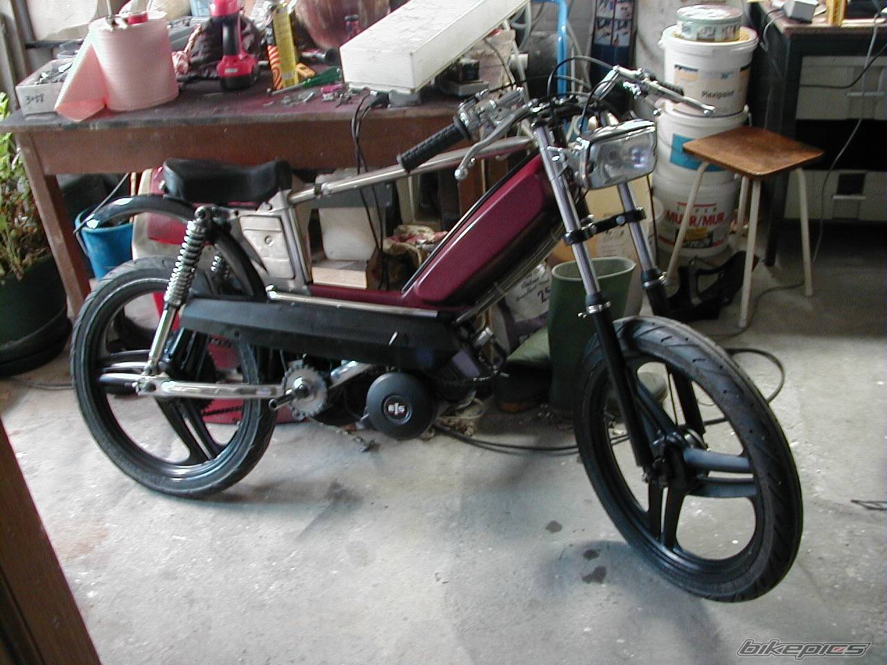 Photo 263558