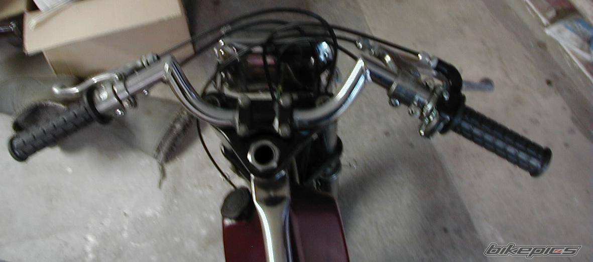 Photo 263559