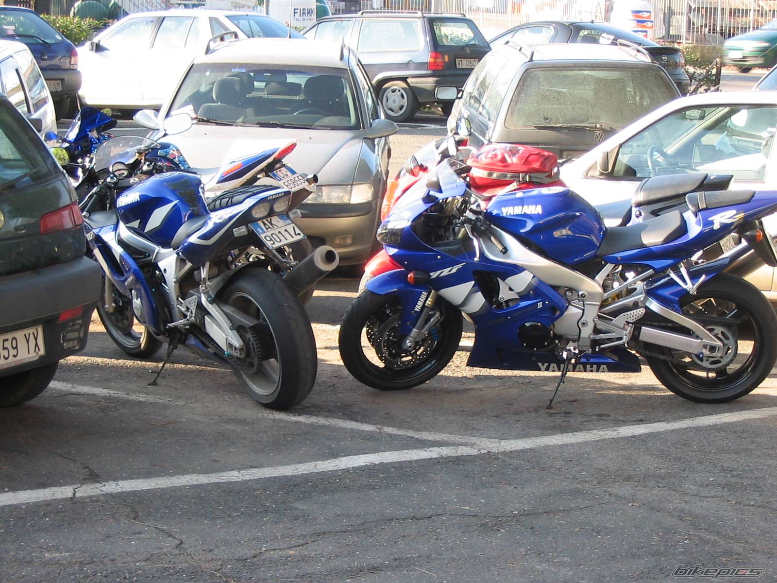 Photo 263562