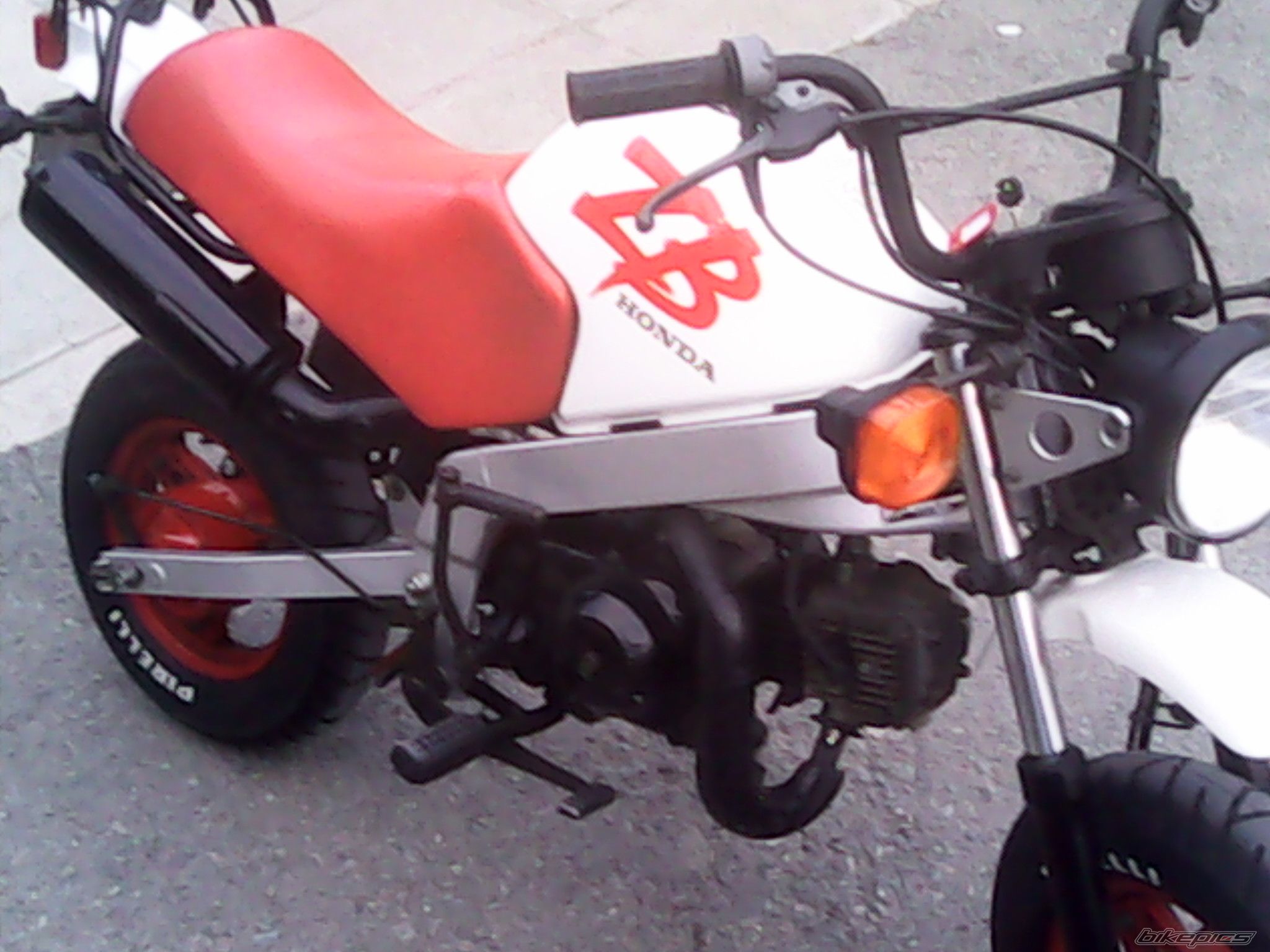 Photo 2635813