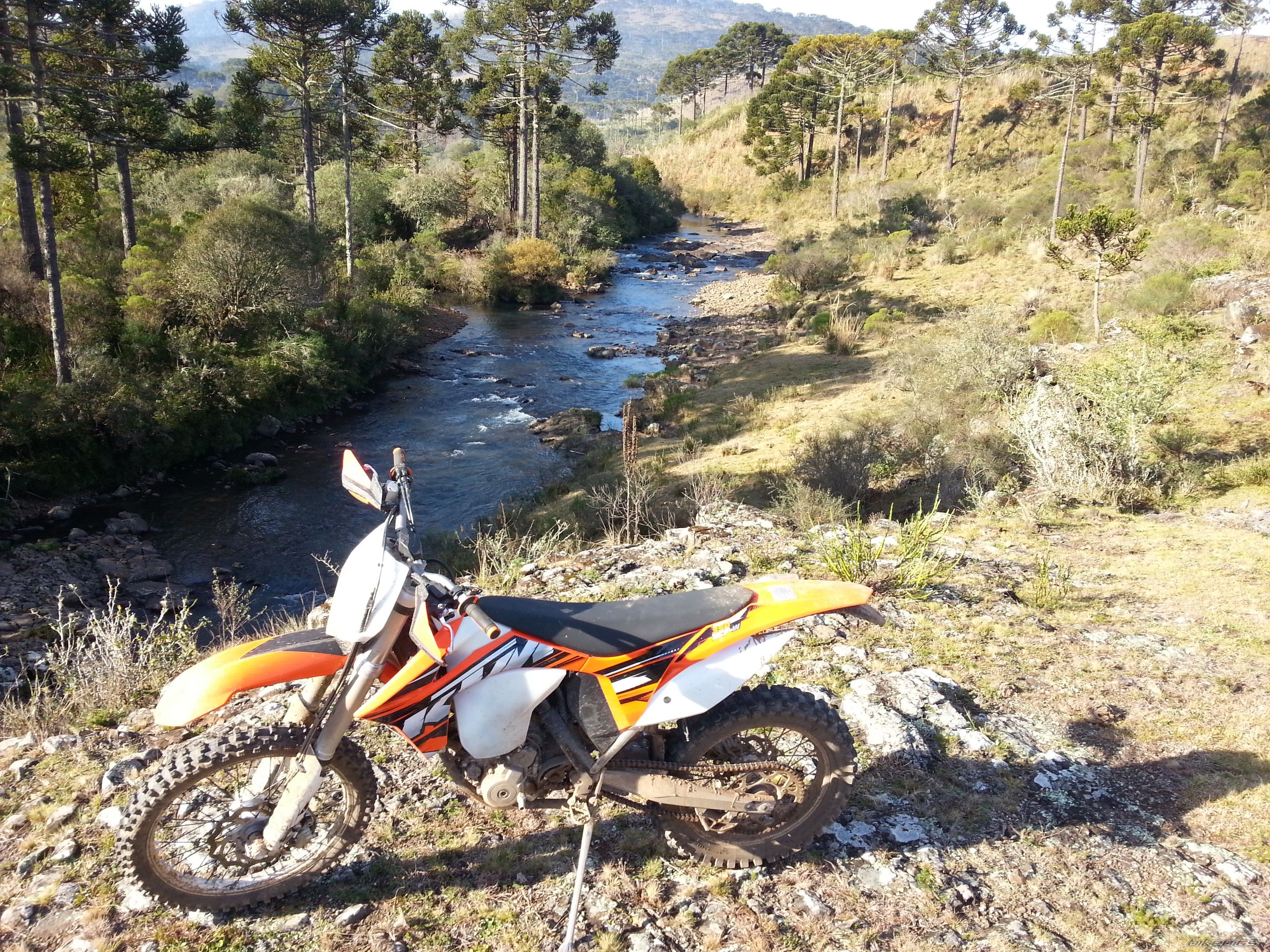 Photo 2635857