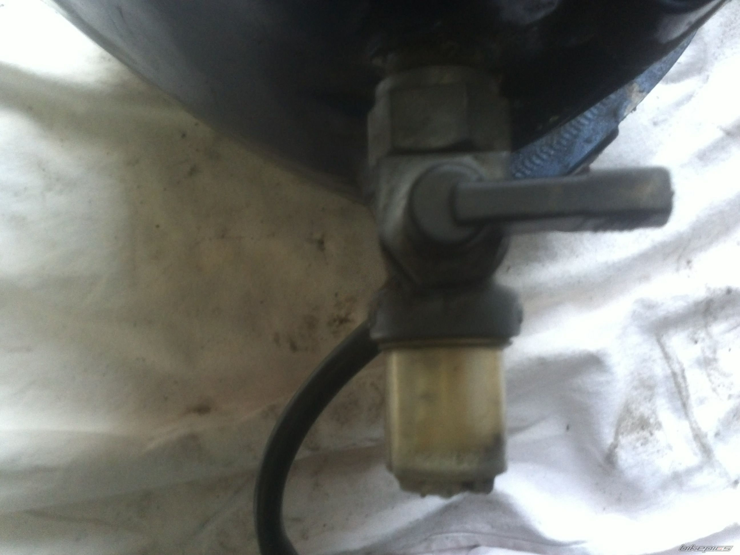 Photo 2635890