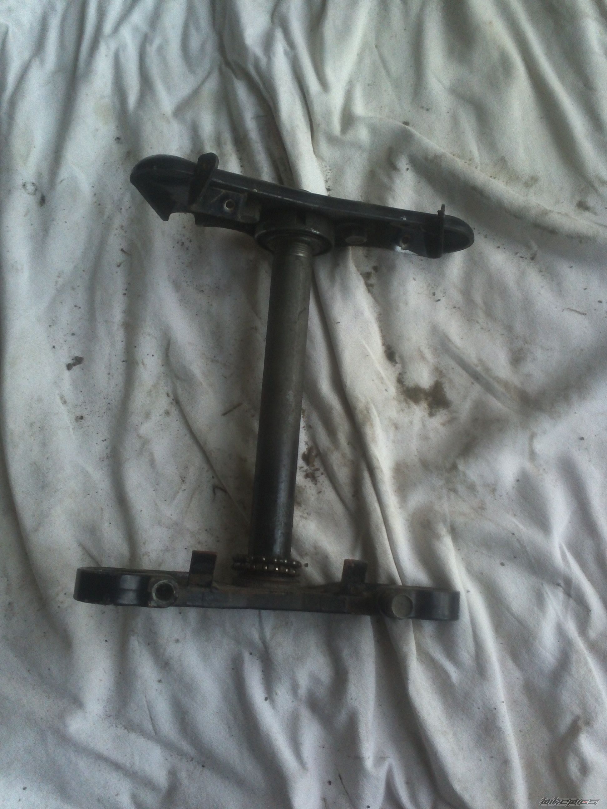 Photo 2635895