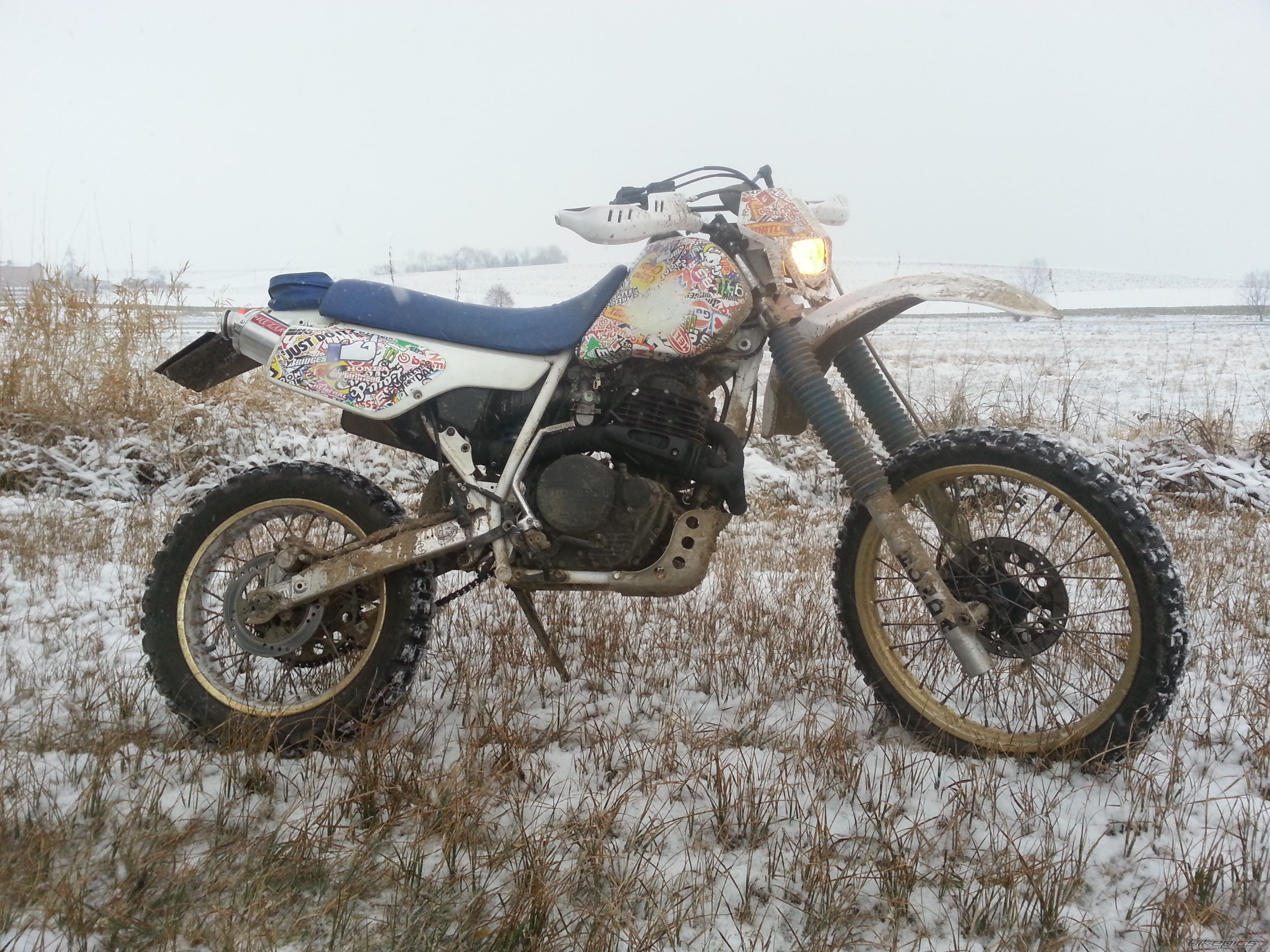 Photo 2635974