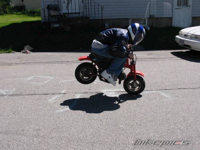 Photo 26360