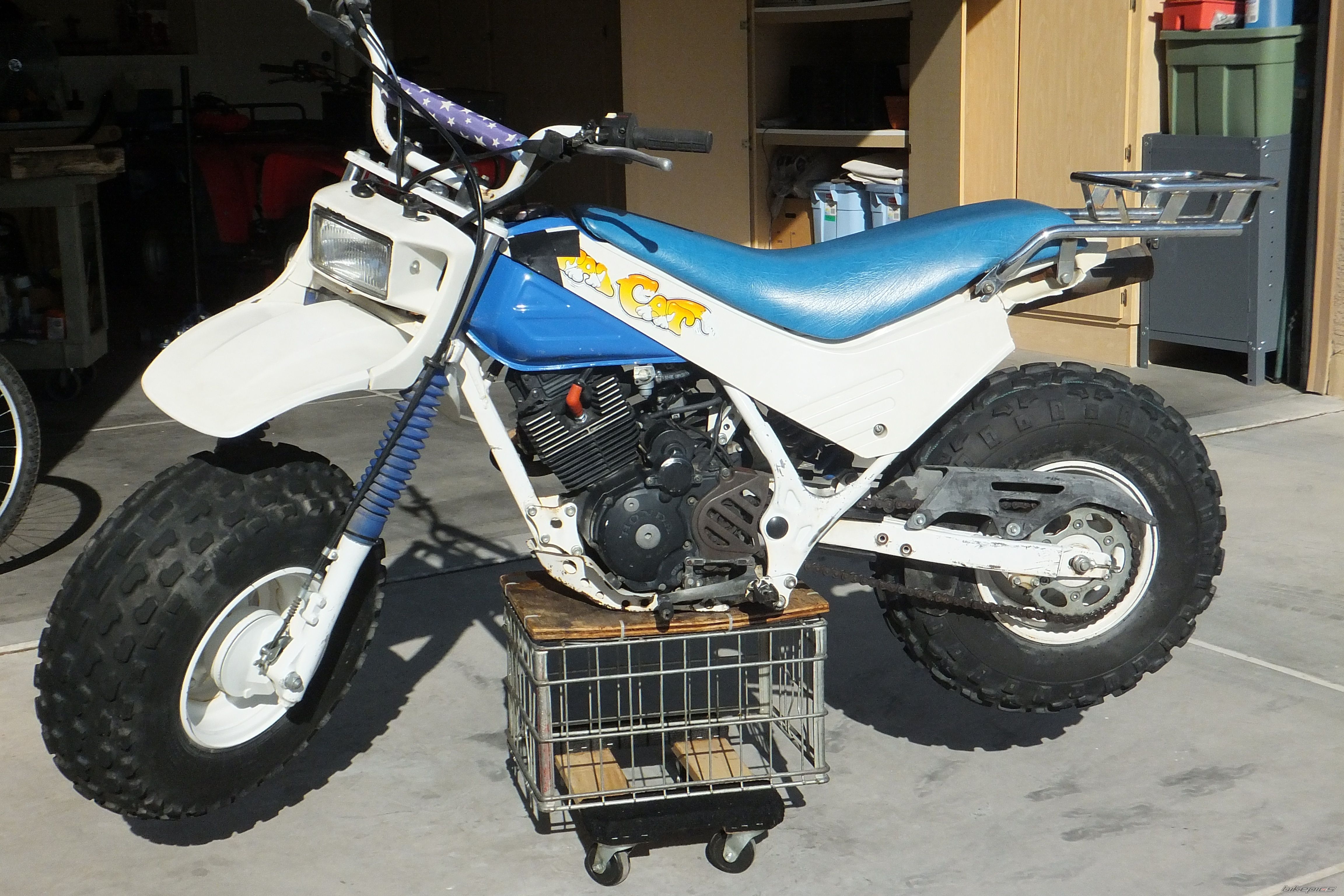 Photo 2636014