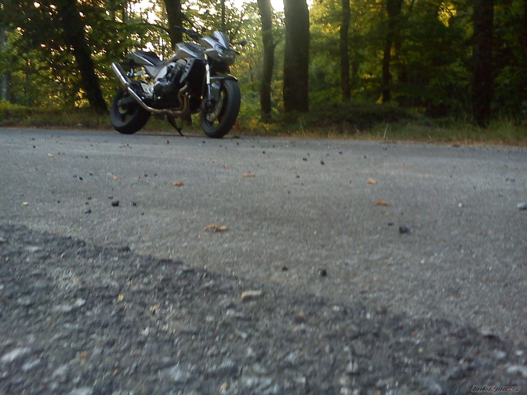 Photo 2636308
