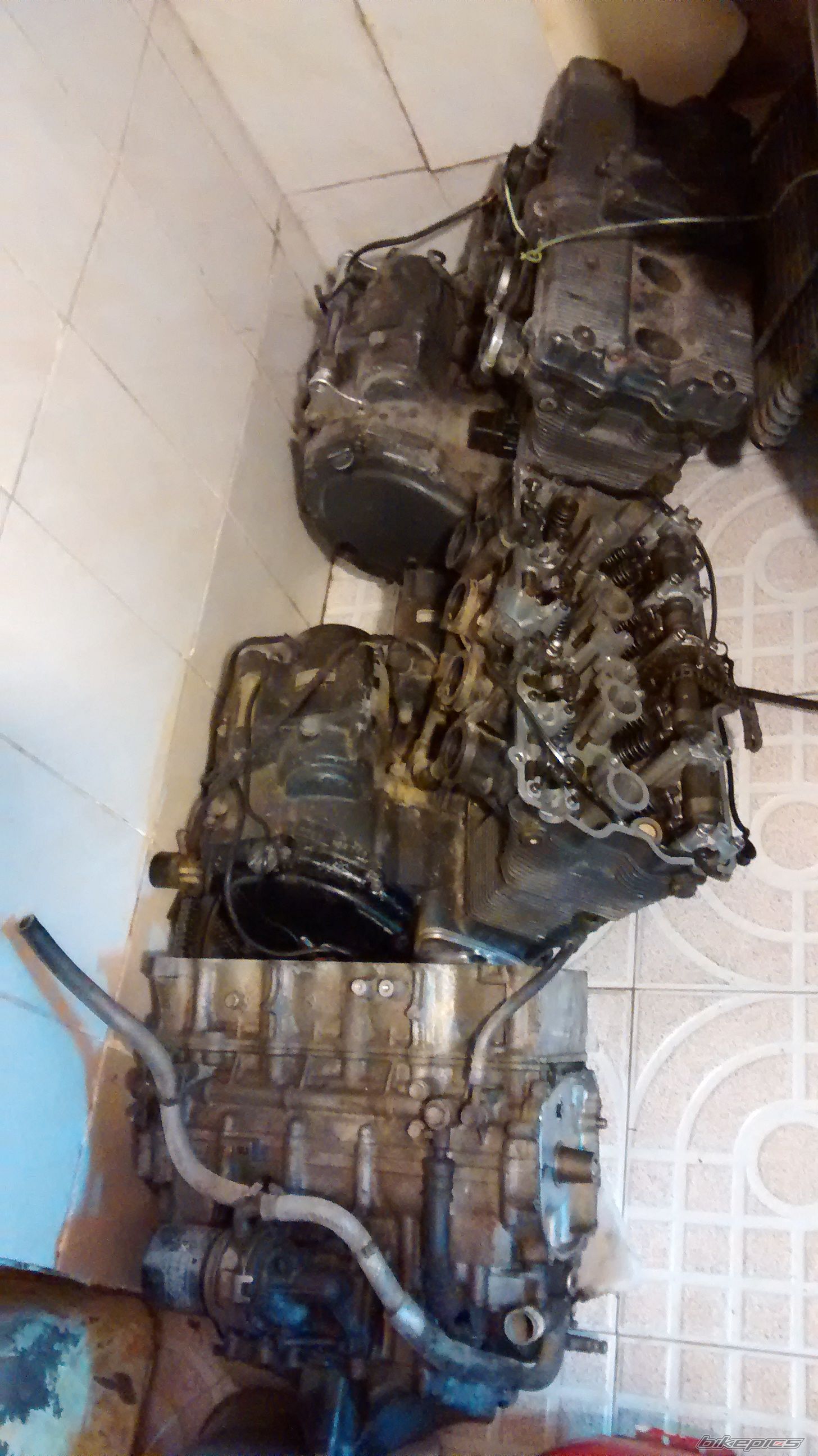 Photo 2636356