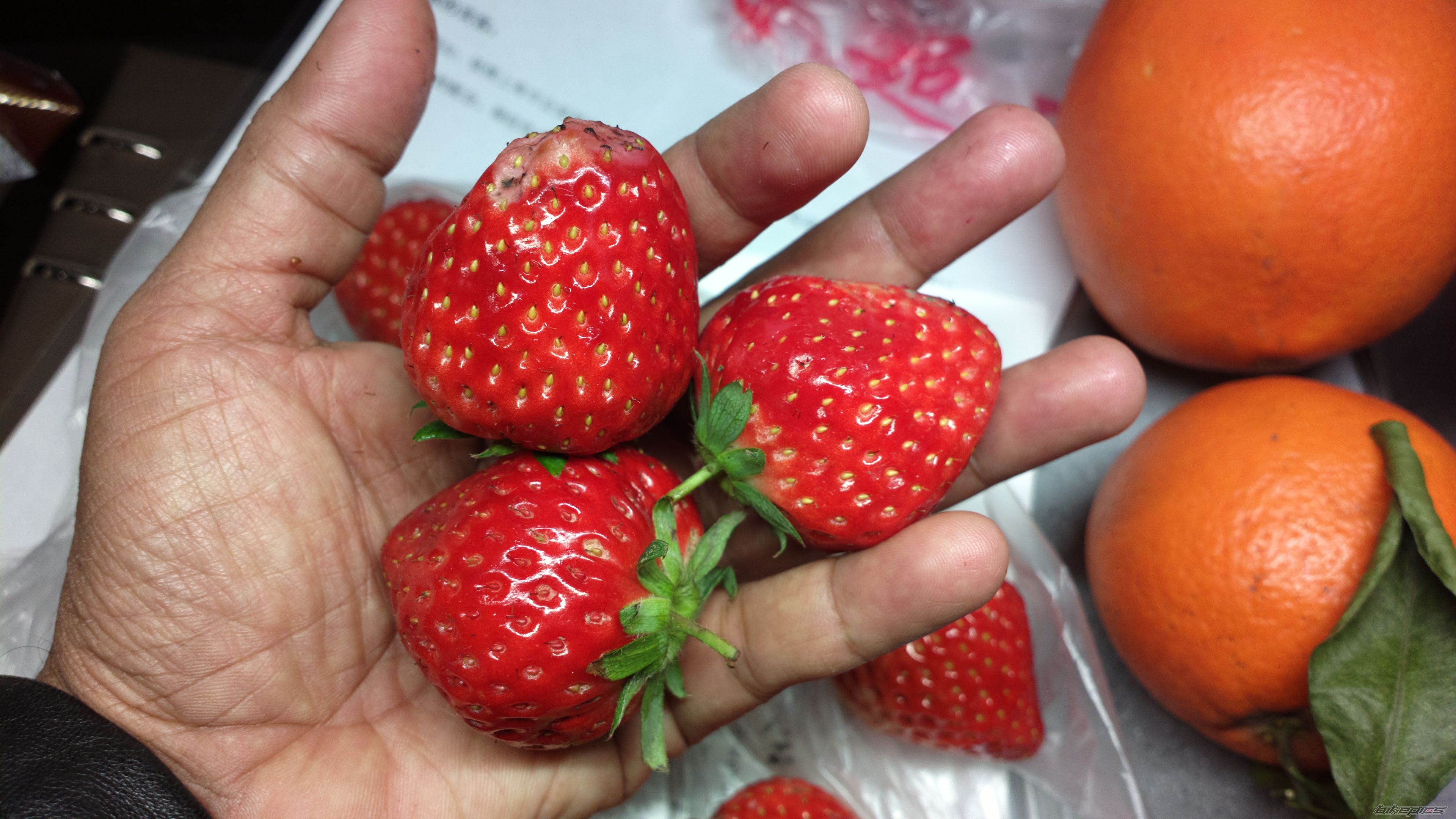 Photo 2636359